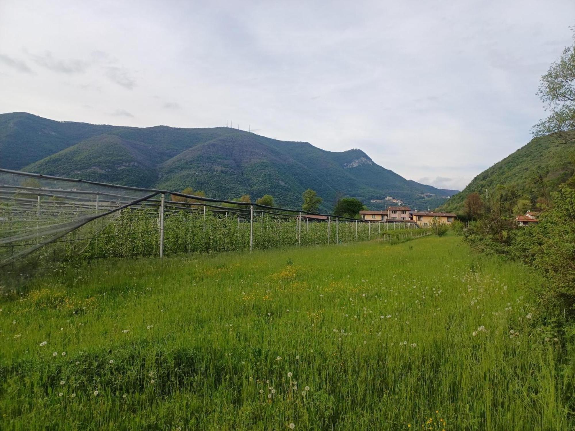Apartament Cascina Legnago Bilocale A 6 Chilometri Da Salo' Villanuova sul clisi Zewnętrze zdjęcie