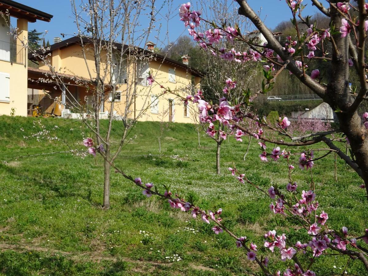 Apartament Cascina Legnago Bilocale A 6 Chilometri Da Salo' Villanuova sul clisi Zewnętrze zdjęcie